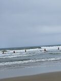 Galerie photo Surf et accrobranche