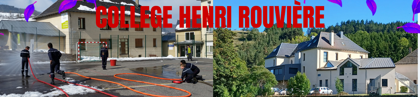 COLLEGE HENRI ROUVIèRE (1).png